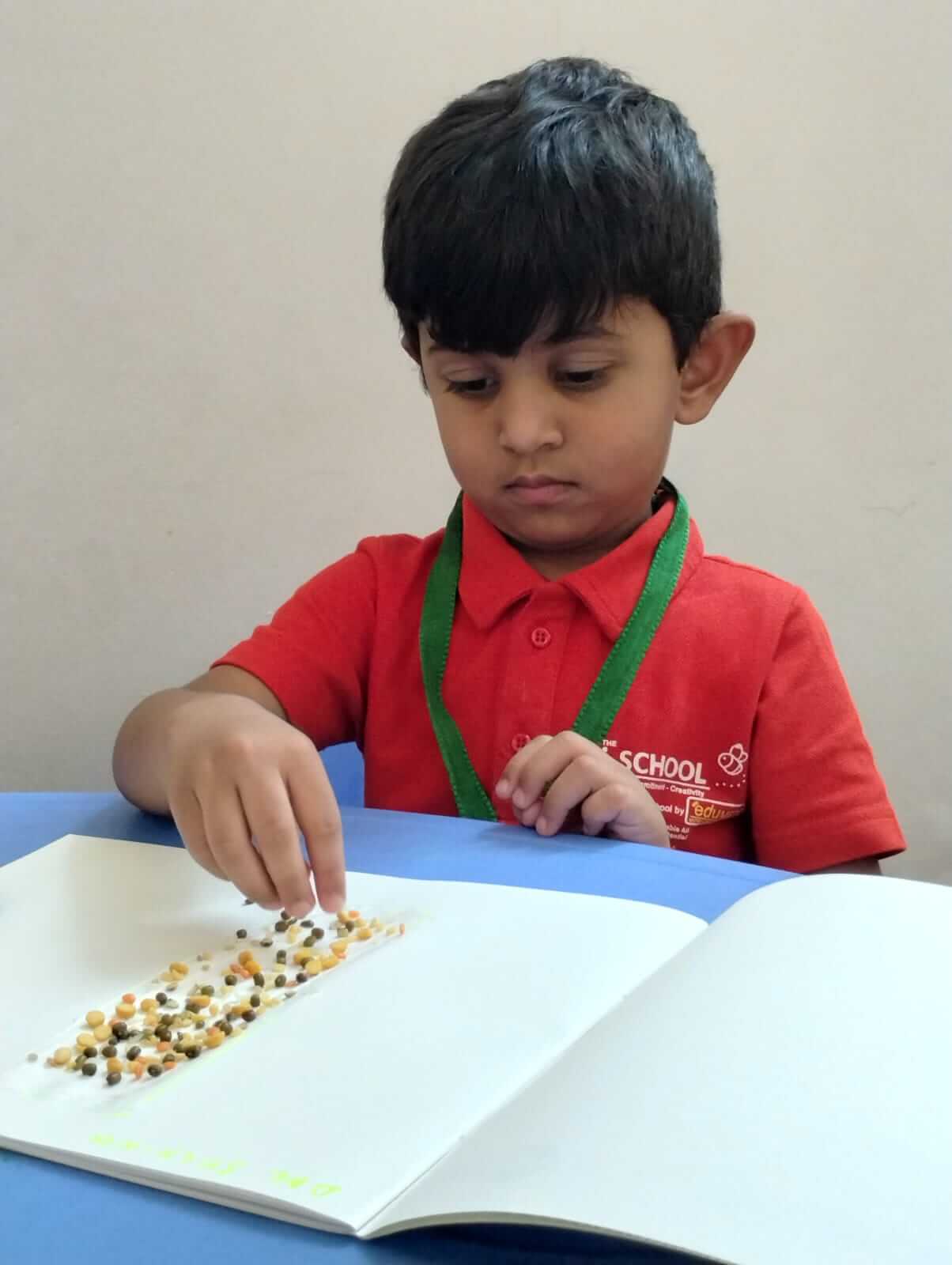 Play School Rajendra Nagar Mandal, Ranga Reddy, Hyderabad
